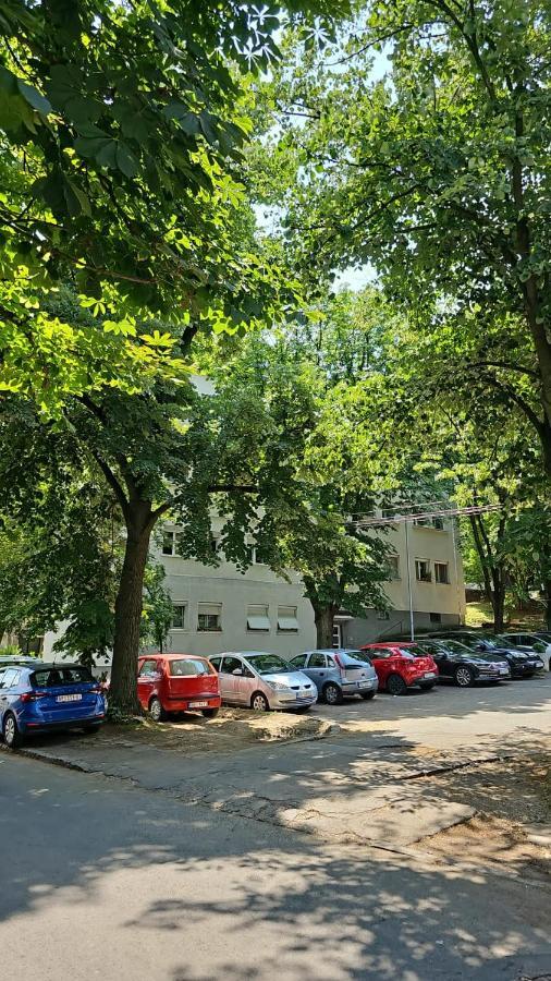 Apartman Maja