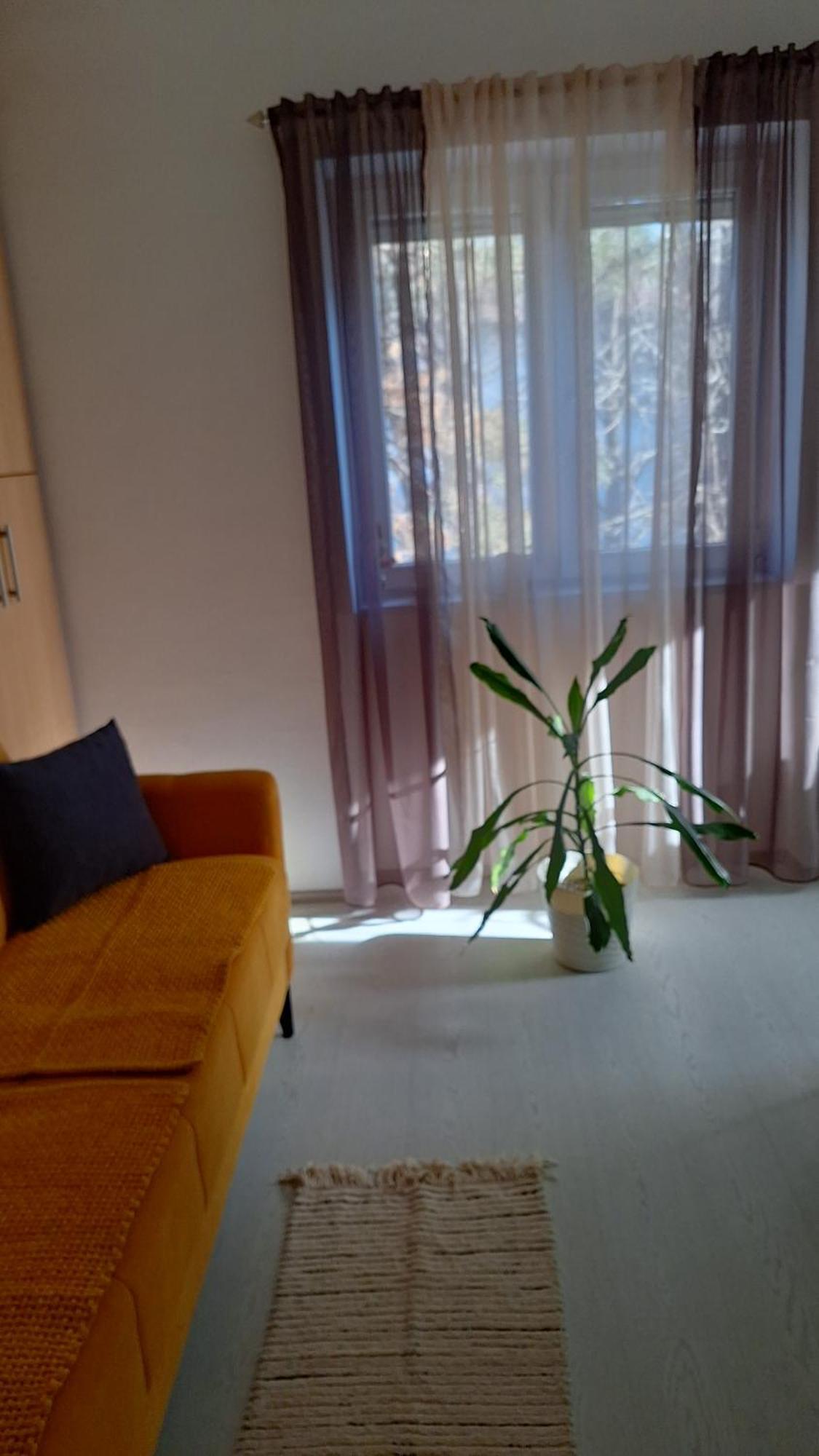 Apartman Maja *